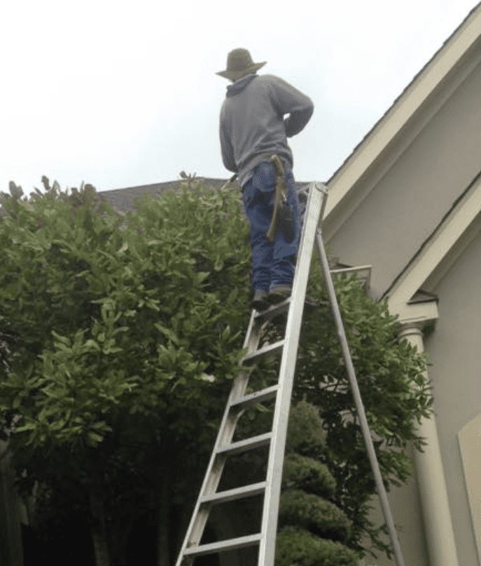 Tree Service A person wearing a hat and hoodie stands on a tall ladder, performing tree care by trimming branches of a leafy tree near the roof of a house. Middle Tennesseer